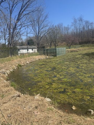 191 Forks River Rd, Waverly, TN 37185
