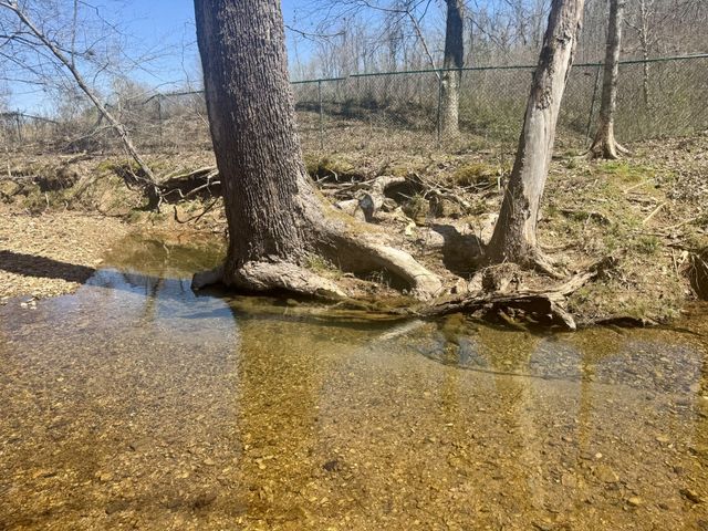 191 Forks River Rd, Waverly, TN 37185