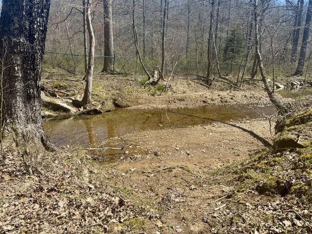 191 Forks River Rd, Waverly, TN 37185