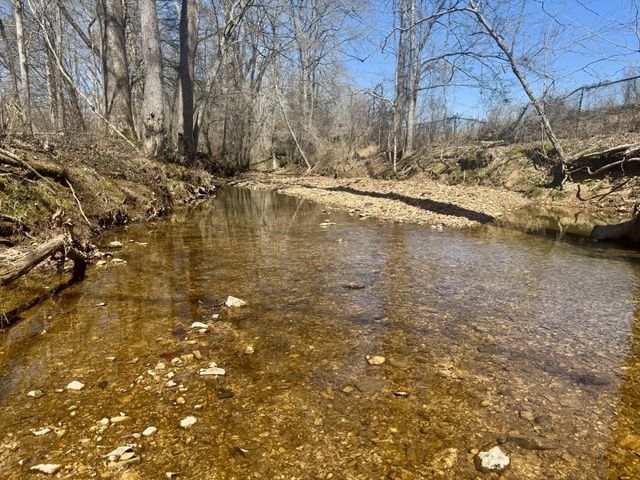 191 Forks River Rd, Waverly, TN 37185