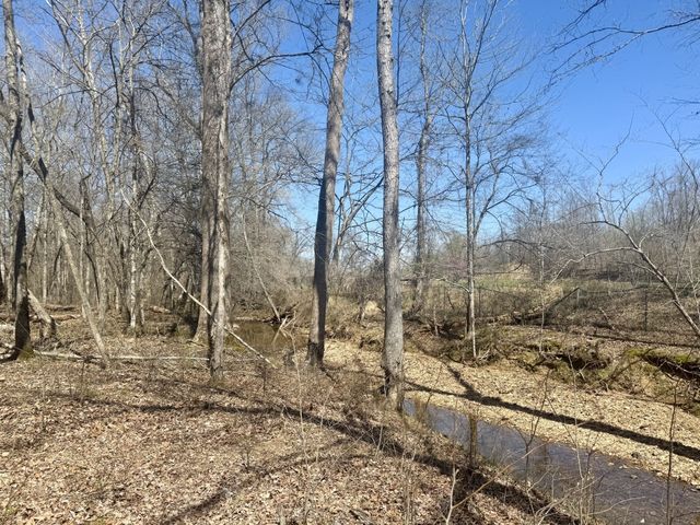 191 Forks River Rd, Waverly, TN 37185