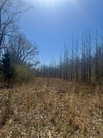 191 Forks River Rd, Waverly, TN 37185