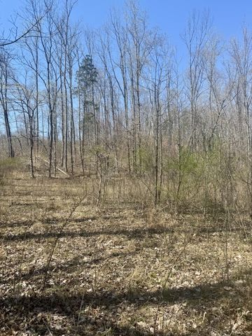 191 Forks River Rd, Waverly, TN 37185