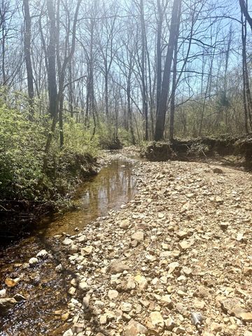 191 Forks River Rd, Waverly, TN 37185