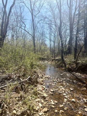 191 Forks River Rd, Waverly, TN 37185