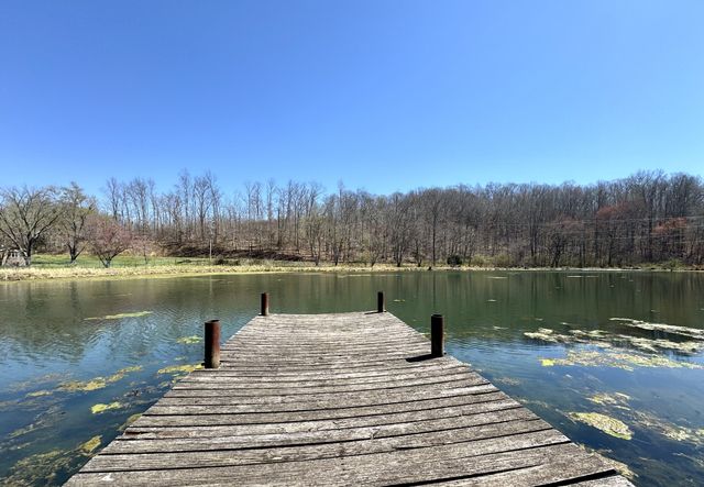191 Forks River Rd, Waverly, TN 37185