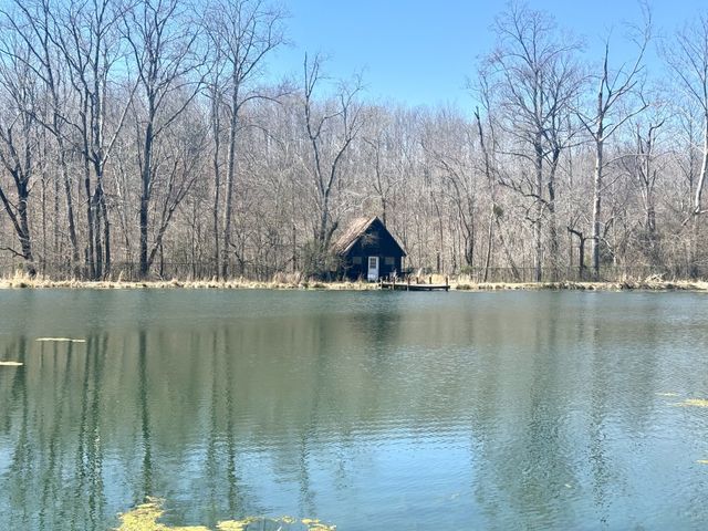 191 Forks River Rd, Waverly, TN 37185