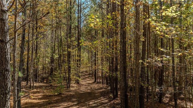 0 Jones Ferry Road LOt 3, Chattahoochee Hills, GA 30268