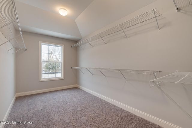 14108 Halden Ridge Way, Louisville, KY 40245