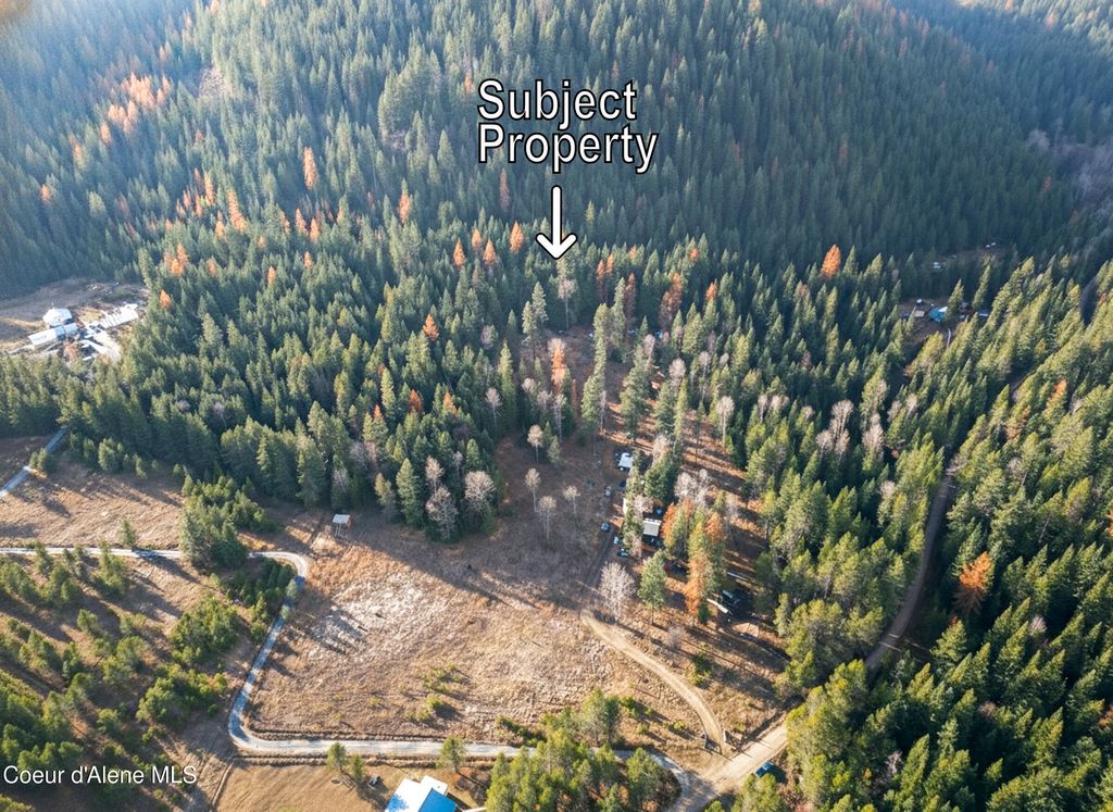 NKA Lower Quartz Creek Rd, Priest River, ID 83856 photo 7