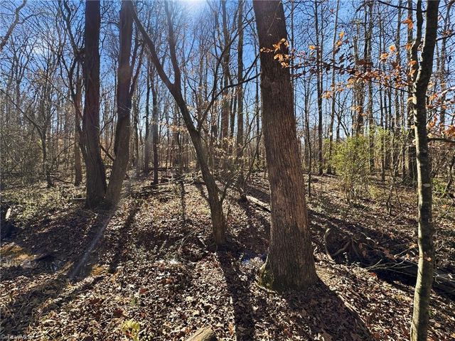 0 Peace Haven Road, Winston-salem, NC 27104