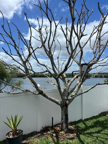 1034 BELLA VIDA BOULEVARD, Orlando, FL 32828