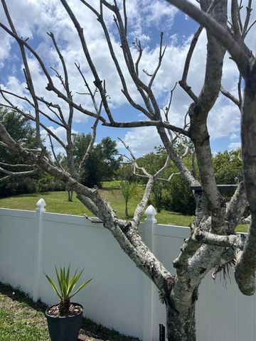 1034 BELLA VIDA BOULEVARD, Orlando, FL 32828