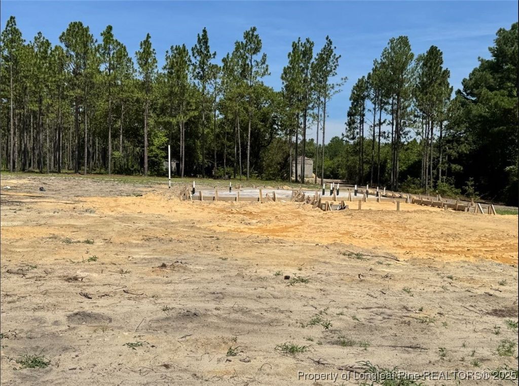 2154 Montrose (Lot 6) Road, Raeford, NC 28376