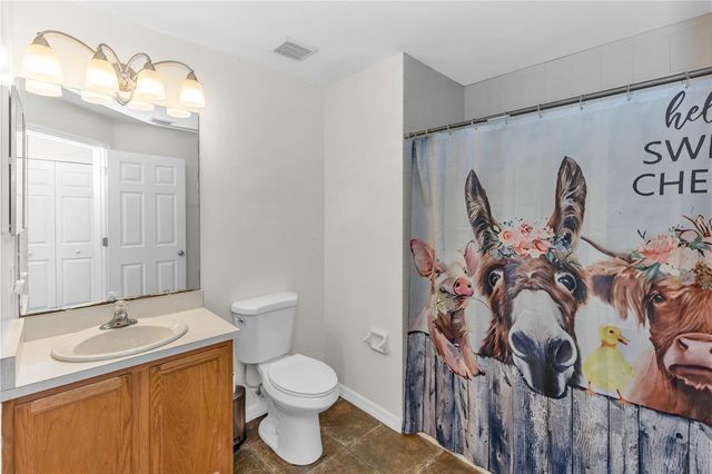 1005 WHISPRING CREEK WAY, Osteen, FL 32764