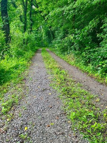 1640 Allen Brown Rd, Belfast, TN 37019
