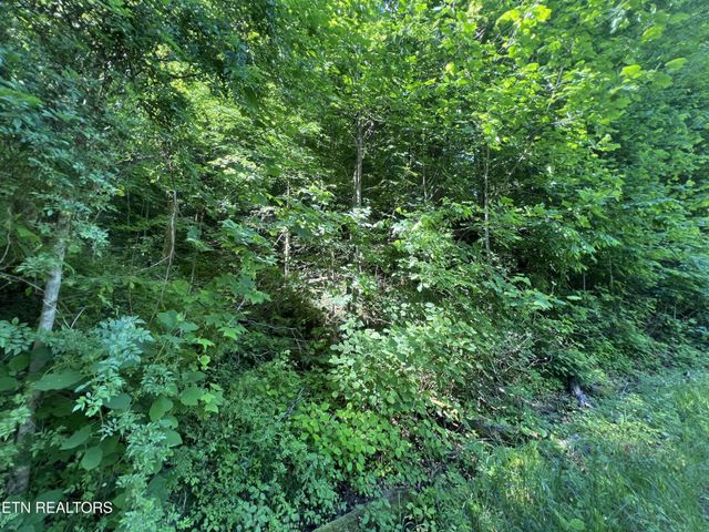 0 Apache Rd, Jamestown, TN 38556