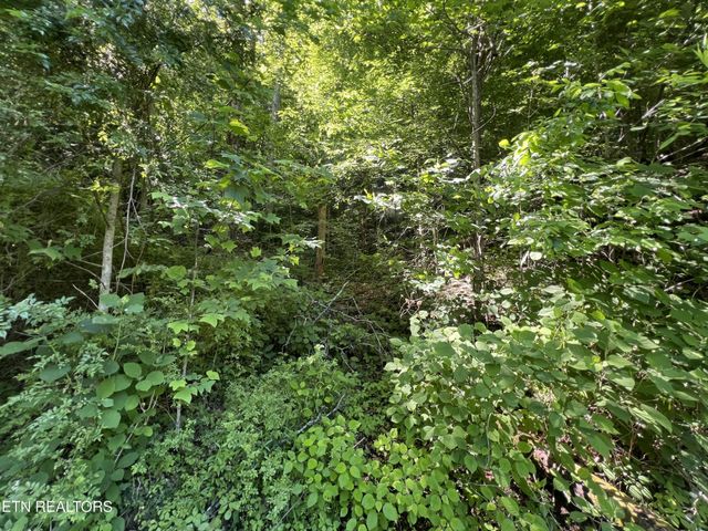 0 Apache Rd, Jamestown, TN 38556