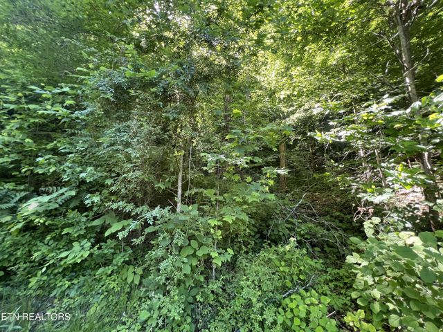 0 Apache Rd, Jamestown, TN 38556