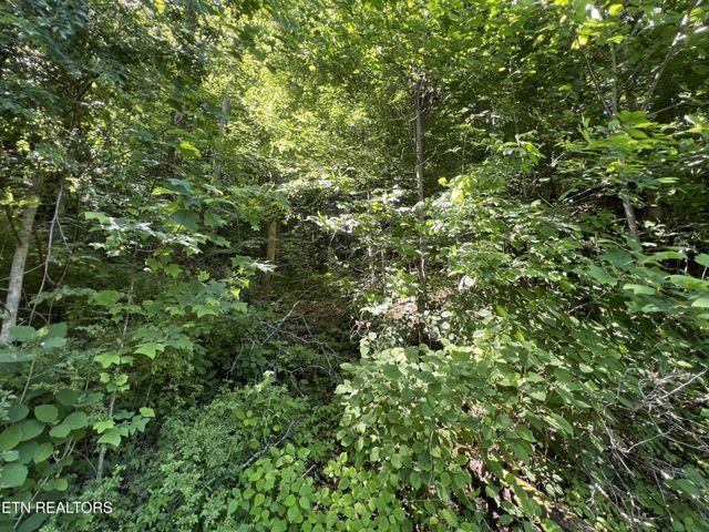 0 Apache Rd, Jamestown, TN 38556