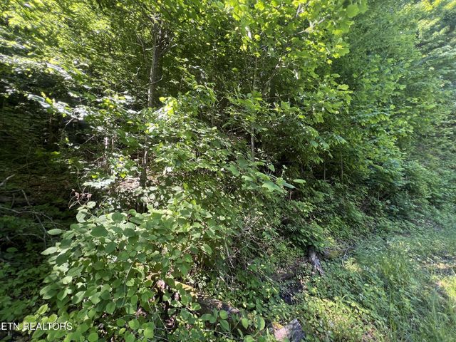 0 Apache Rd, Jamestown, TN 38556