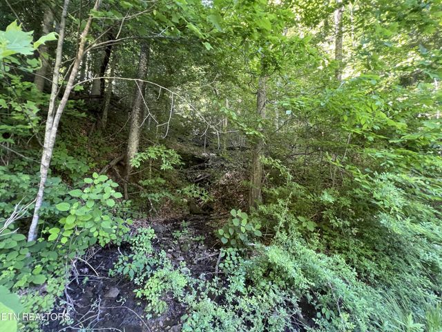 0 Apache Rd, Jamestown, TN 38556