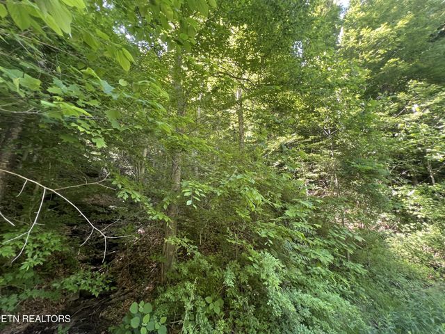 0 Apache Rd, Jamestown, TN 38556