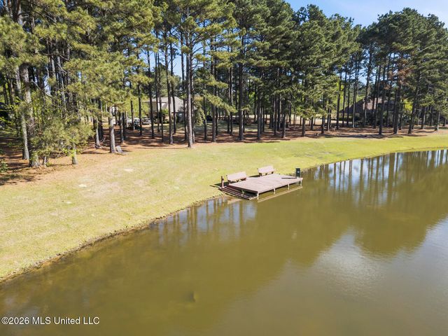 105 Livingston Drive, Madison, MS 39110