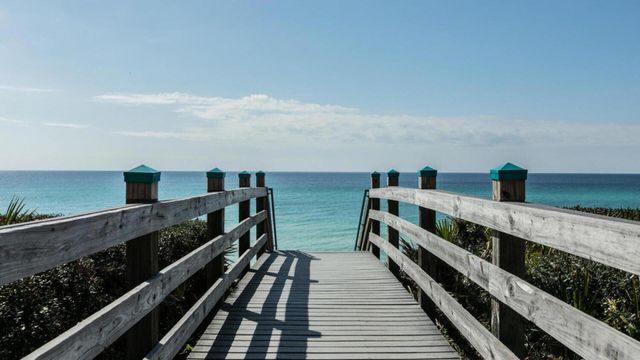 36 Moonlight Beach Lane, Inlet Beach, FL 32461
