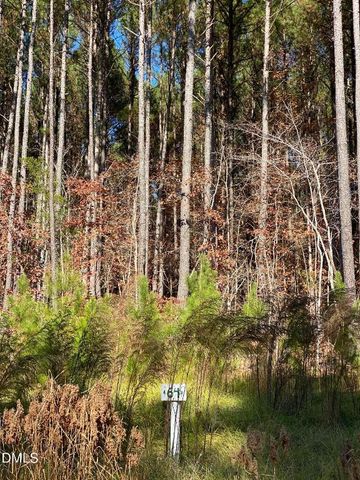 586 Anneliis Lane, Siler City, NC 27344