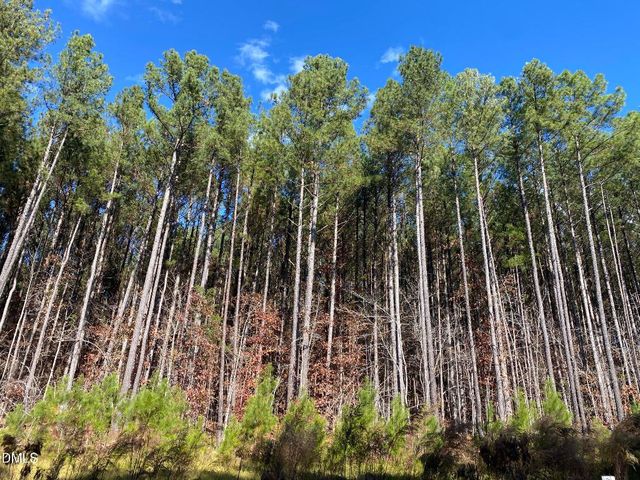 586 Anneliis Lane, Siler City, NC 27344