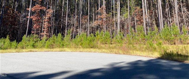 586 Anneliis Lane, Siler City, NC 27344