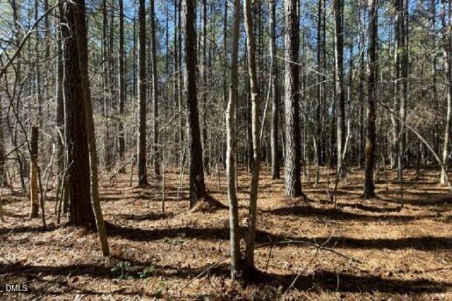 586 Anneliis Lane, Siler City, NC 27344