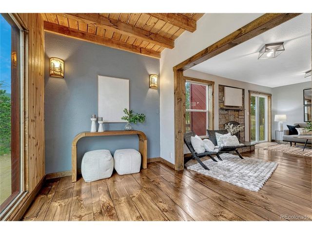 19 E Pine Dr, Bailey, CO 80421