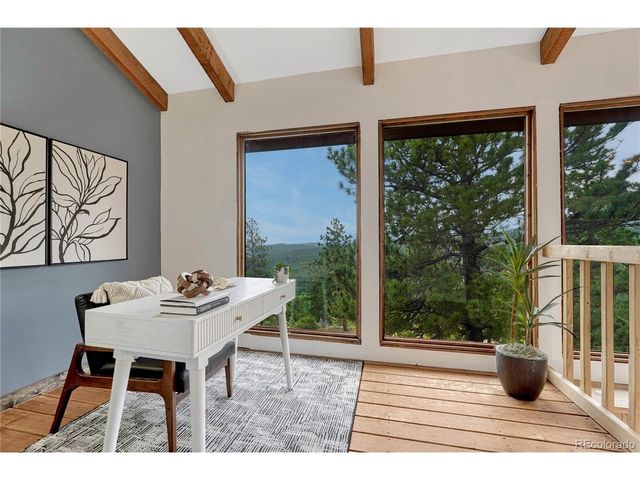 19 E Pine Dr, Bailey, CO 80421