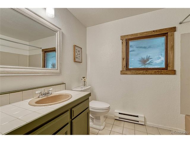 19 E Pine Dr, Bailey, CO 80421