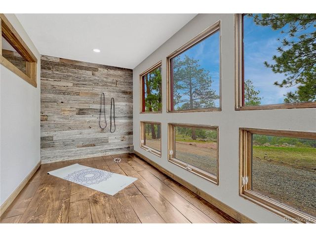 19 E Pine Dr, Bailey, CO 80421