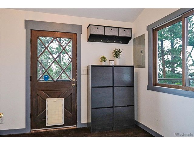 19 E Pine Dr, Bailey, CO 80421
