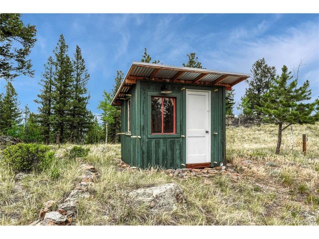 19 E Pine Dr, Bailey, CO 80421