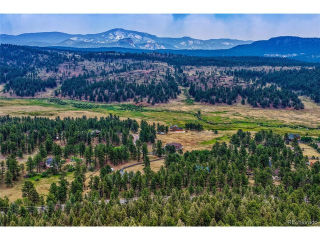 19 E Pine Dr, Bailey, CO 80421