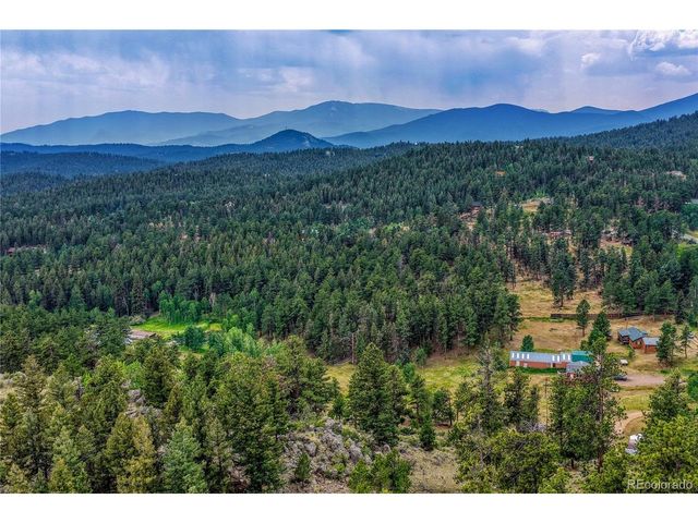 19 E Pine Dr, Bailey, CO 80421