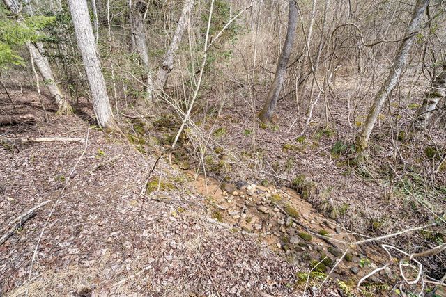 155 Ivy Knob Terrace, Hayesville, NC 28904