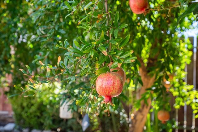 42154 Thoroughbred Lane, Murrieta, CA 92562