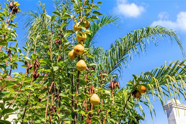 42154 Thoroughbred Lane, Murrieta, CA 92562