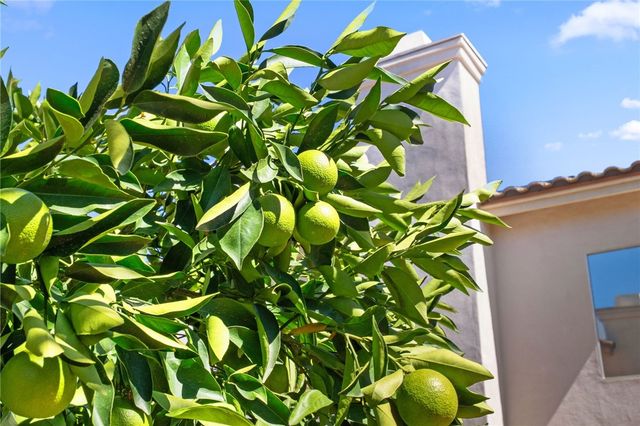 42154 Thoroughbred Lane, Murrieta, CA 92562