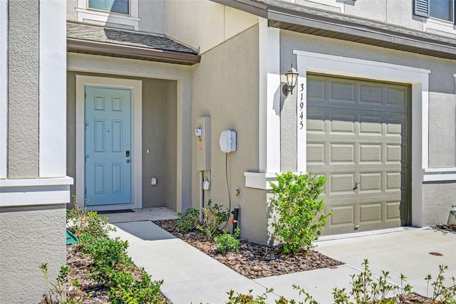 31945 BLUE PASSING LOOP, Wesley Chapel, FL 33545