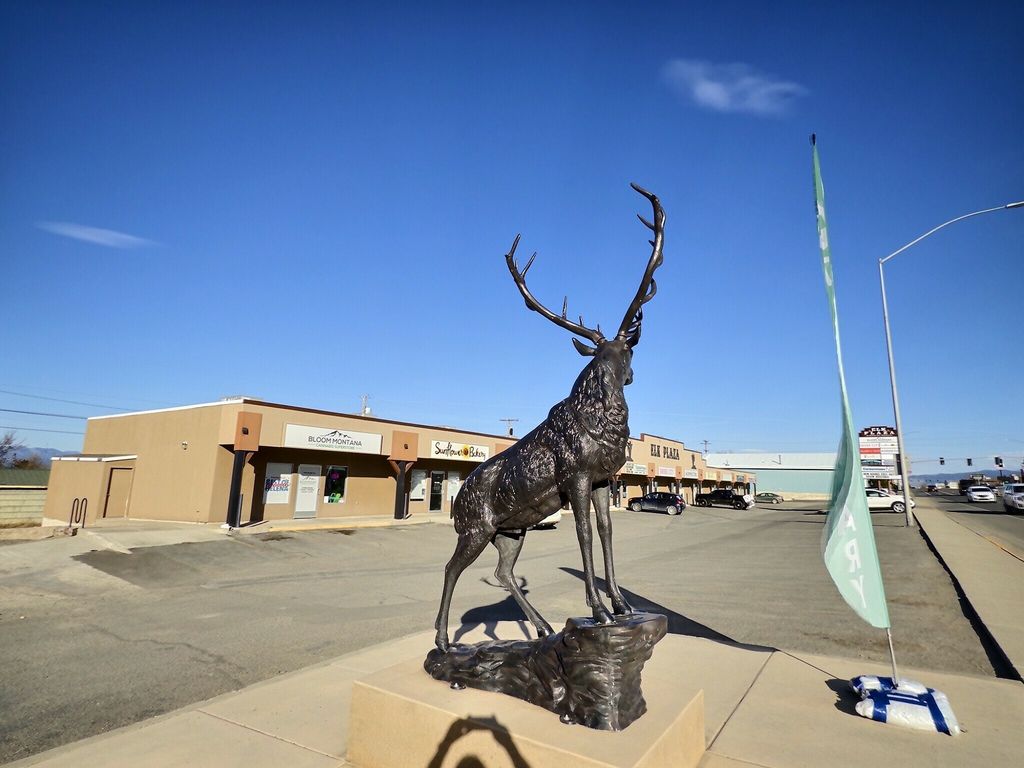 1414 Euclid Avenue, Helena, MT 59601