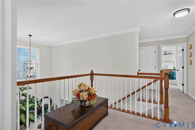 10817 Correnty Dr, Glen Allen, VA 23059