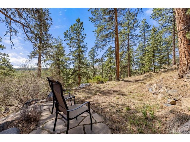 22081 Bardwell Ave, Conifer, CO 80433