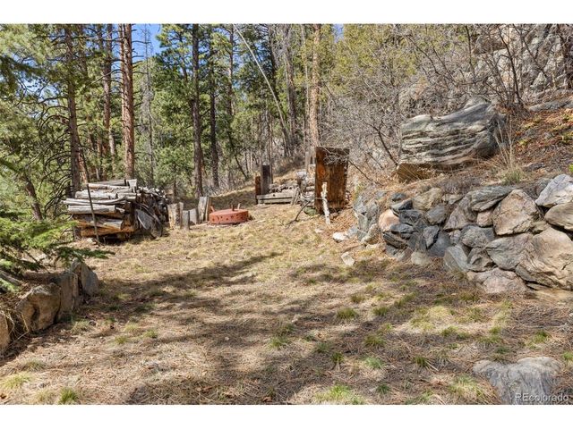 22081 Bardwell Ave, Conifer, CO 80433